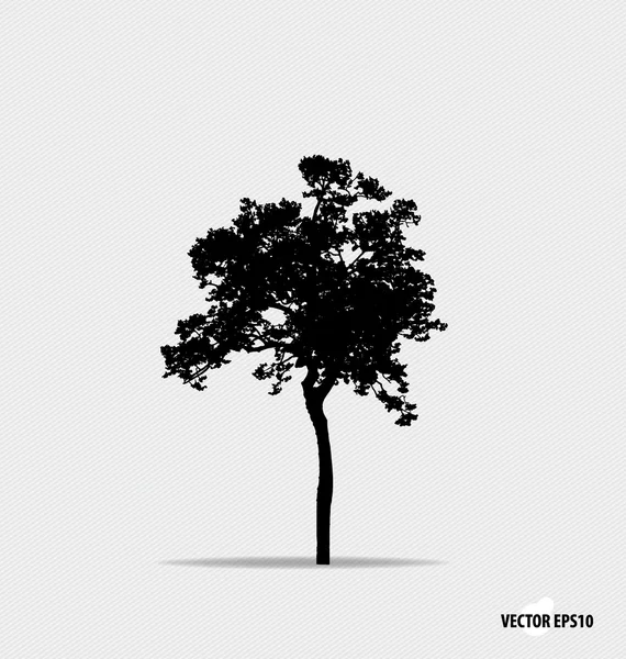Tree silhouette. Vector illustration. — Stock Vector