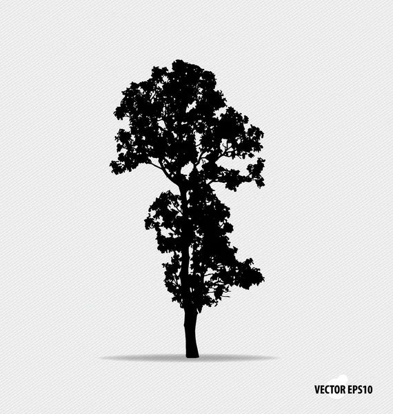 Tree silhouette. Vector illustration. — Stock Vector