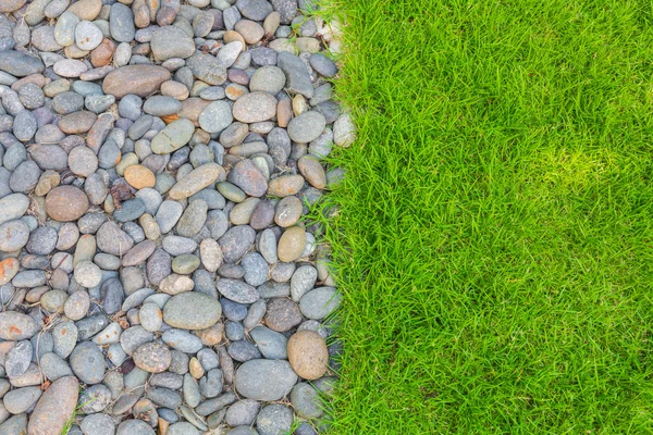 Trawa wiosna świeży zielony z rock — Zdjęcie stockowe