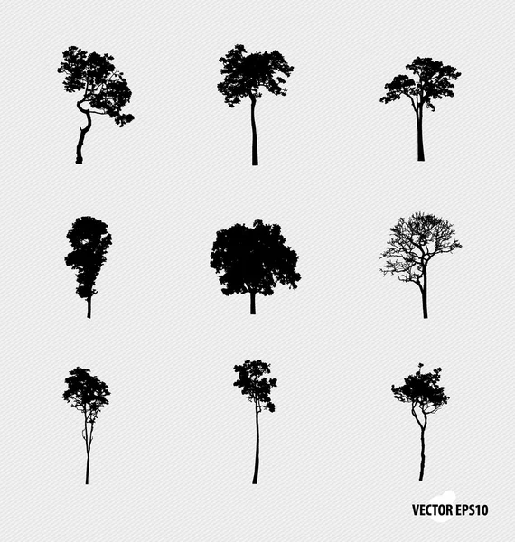 Set van boom silhouetten. vectorillustratie. — Stockvector