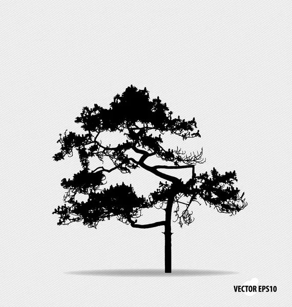 Silueta de árbol. Ilustración vectorial . — Archivo Imágenes Vectoriales