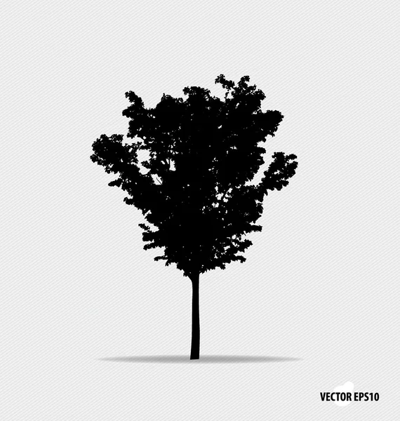 Tree silhouette. Vector illustration. — Stock Vector