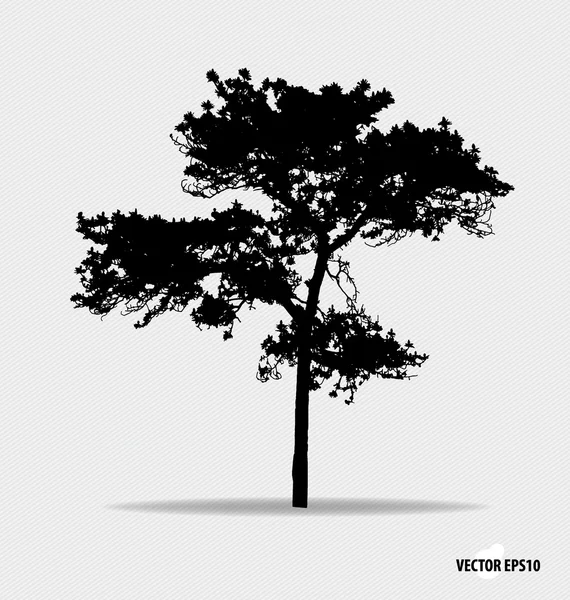 Sílhueta de árvore. Ilustração vetorial . — Vetor de Stock