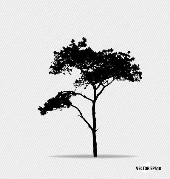 Silhouette d'albero. Illustrazione vettoriale . — Vettoriale Stock