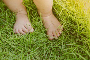 Çim bebek ayakları ( Filtrelenmiş görüntü işlenmiş vintage etkisi. )