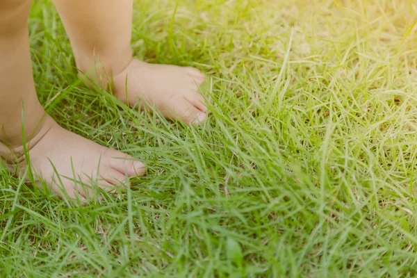 Дитячі ноги в траві (Фільтроване зображення оброблене вінтажним ефектом . ) — стокове фото