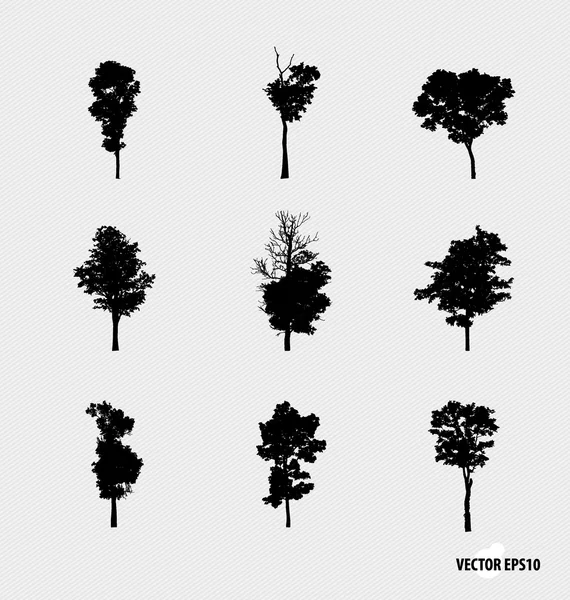 Ensemble de silhouettes d'arbres. Illustration vectorielle . — Image vectorielle