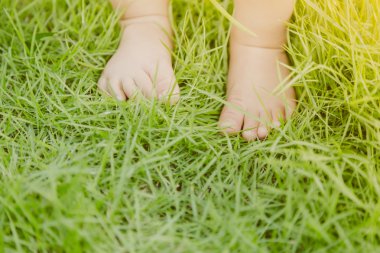 Çim bebek ayakları ( Filtrelenmiş görüntü işlenmiş vintage etkisi. )