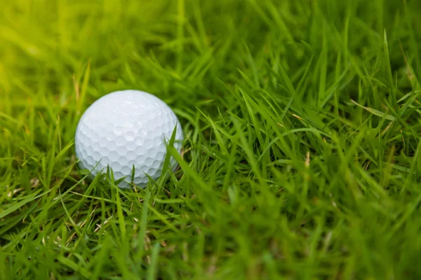 Golf ball on green grass — Stock Photo, Image