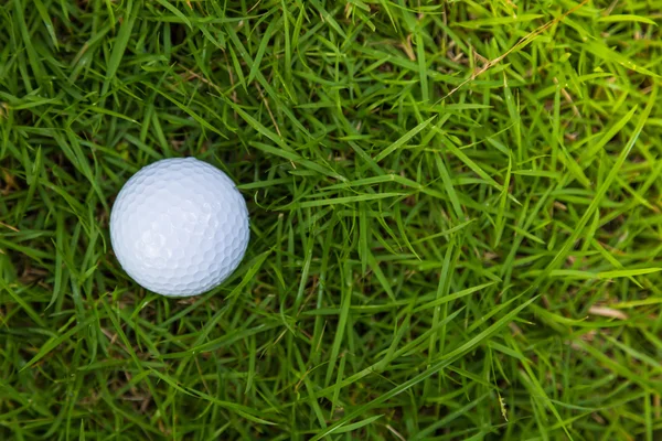 Golf ball on green grass — Stock Photo, Image