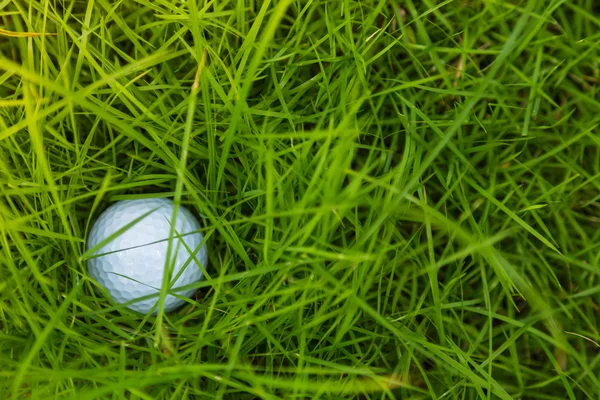 Golf ball on green grass — Stock Photo, Image