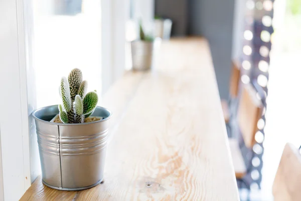 Cactus dans le décor du vase sur une table en bois — Photo