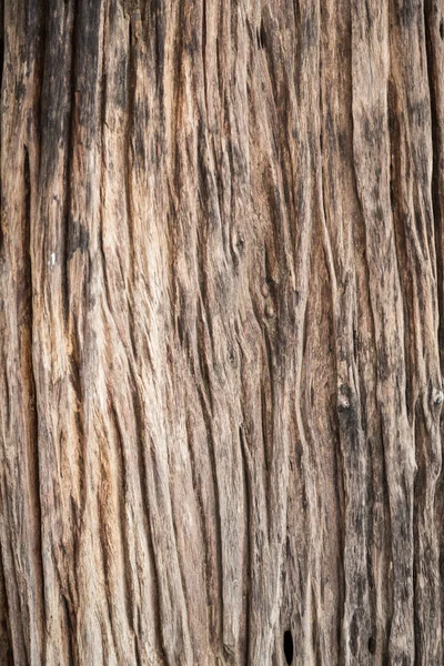 Old wood background — Stock Photo, Image