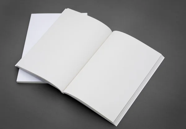 Catalogo in bianco, prospetto — Foto Stock