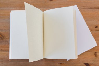 Katalog, dergi boş, sahte kitap