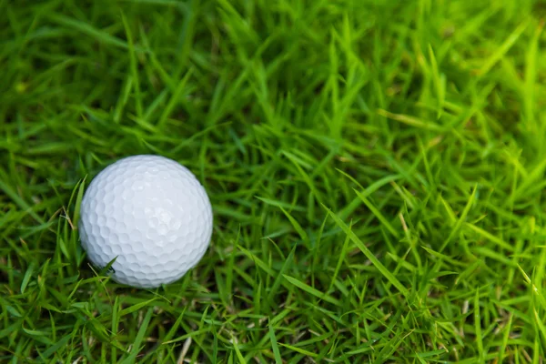 Golfbal op groen gras — Stockfoto