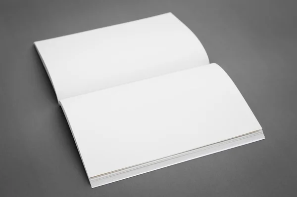 Catalogo in bianco, brochure, riviste, book mock up — Foto Stock