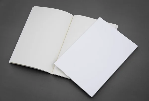 Catálogo em branco, brochura, revistas, livro mock up — Fotografia de Stock