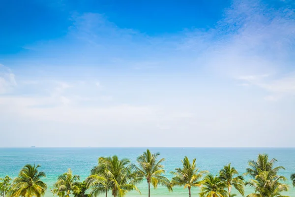 Palm trees and  seascape — Stock Photo, Image