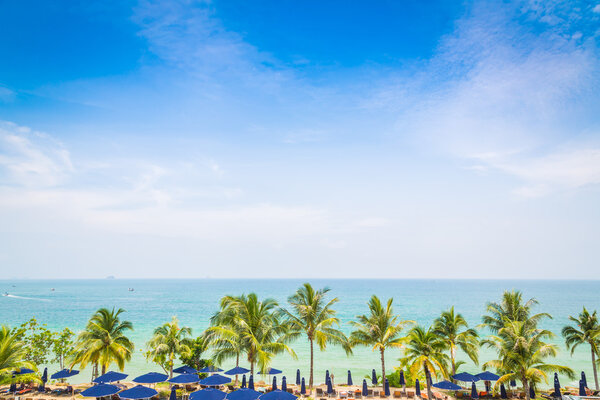 Palm trees and  seascape