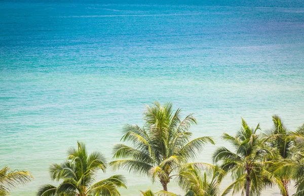 棕榈树和海景 — 图库照片