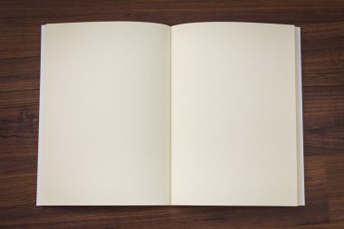 Boş defter kadar sahte