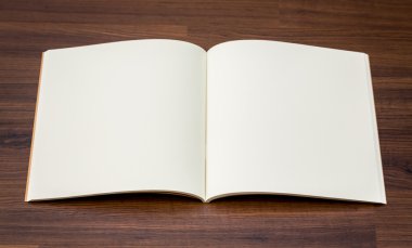Boş defter kadar sahte