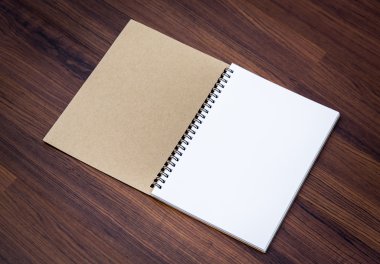 Boş defter kadar sahte