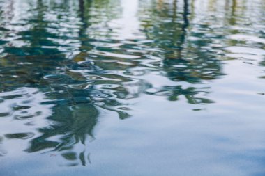 Yüzme havuzunda sakinleştirmek su