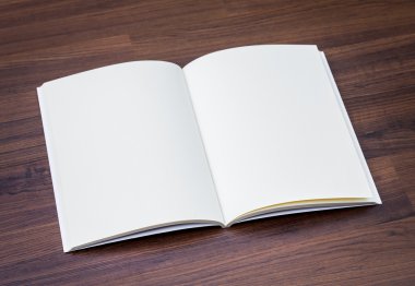 Açık boş kitap