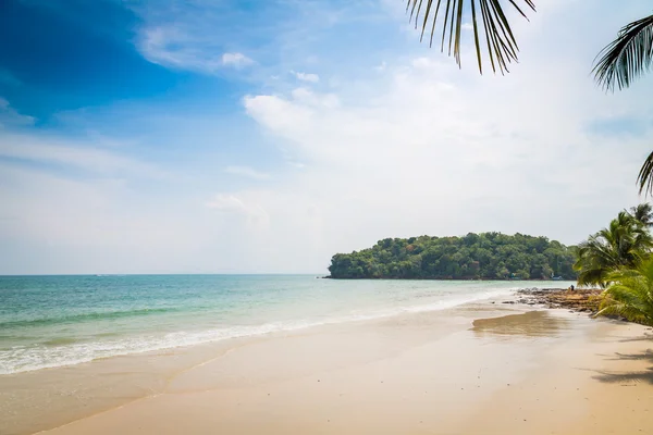 Palme sulla spiaggia — Foto Stock