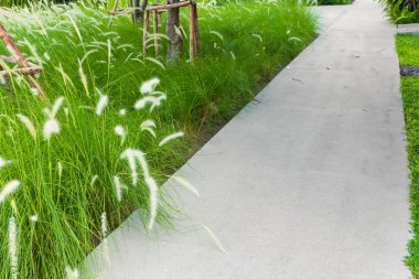 parkta yürüyüş yolu