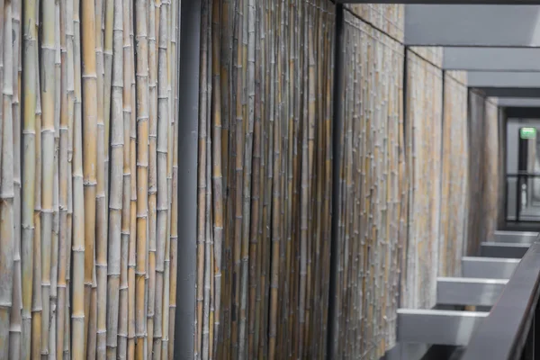 Brun bambu bakgrund — Stockfoto