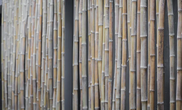 茶色の竹の背景 — ストック写真