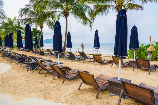 Beach chairs and umbrellas — Stock Photo, Image