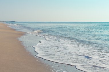 Sahilde deniz dalgası