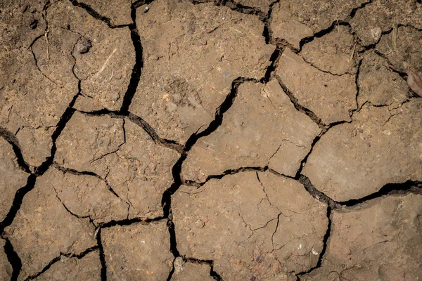 Tierra agrietada estéril — Foto de Stock