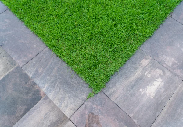 Pad met groen gras lopen — Stockfoto