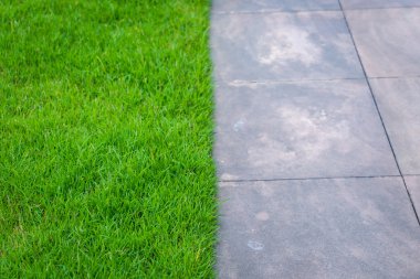 yeşil çim ile yol yürümek