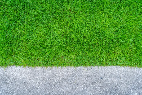 Pad met groen gras lopen — Stockfoto