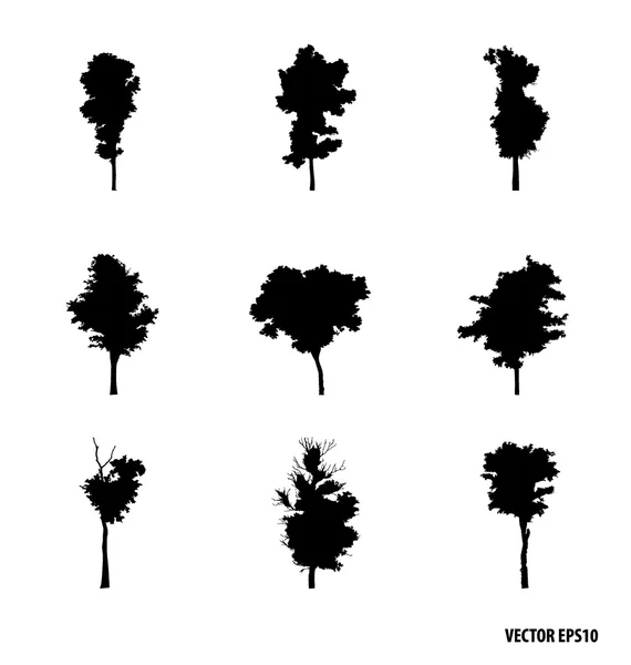 Set of trees silhouettes — Stock Vector