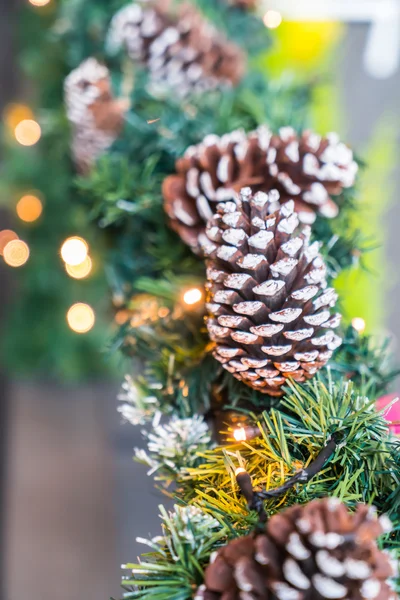 Pine cones on christmas tree — Stock Photo, Image