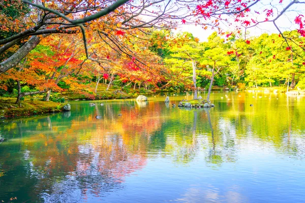 Bosque de otoño con río — Foto de Stock