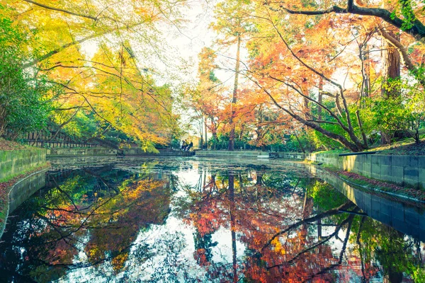 Bosque de otoño con río — Foto de Stock