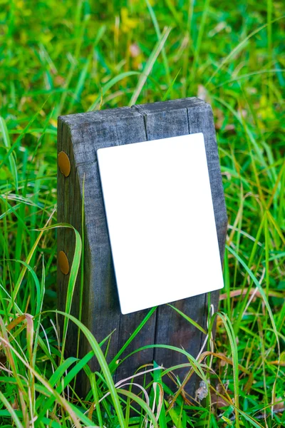 Wooden sign on grass — Stock Photo, Image