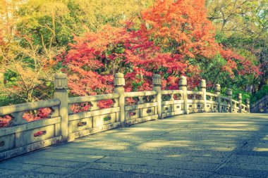 Güzel mimari Kiyomizu-dera Tapınağı