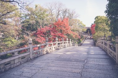 Güzel mimari Kiyomizu-dera Tapınağı