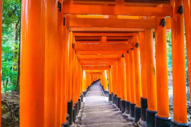 Torii Gates Fushimi Inari tapınak Tapınağı'nda