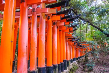 Torii Gates Fushimi Inari tapınak Tapınağı'nda