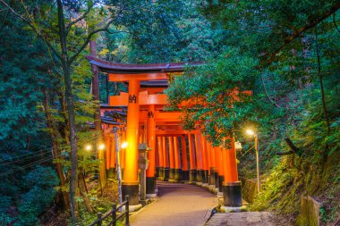 Torii Gates Fushimi Inari tapınak Tapınağı'nda